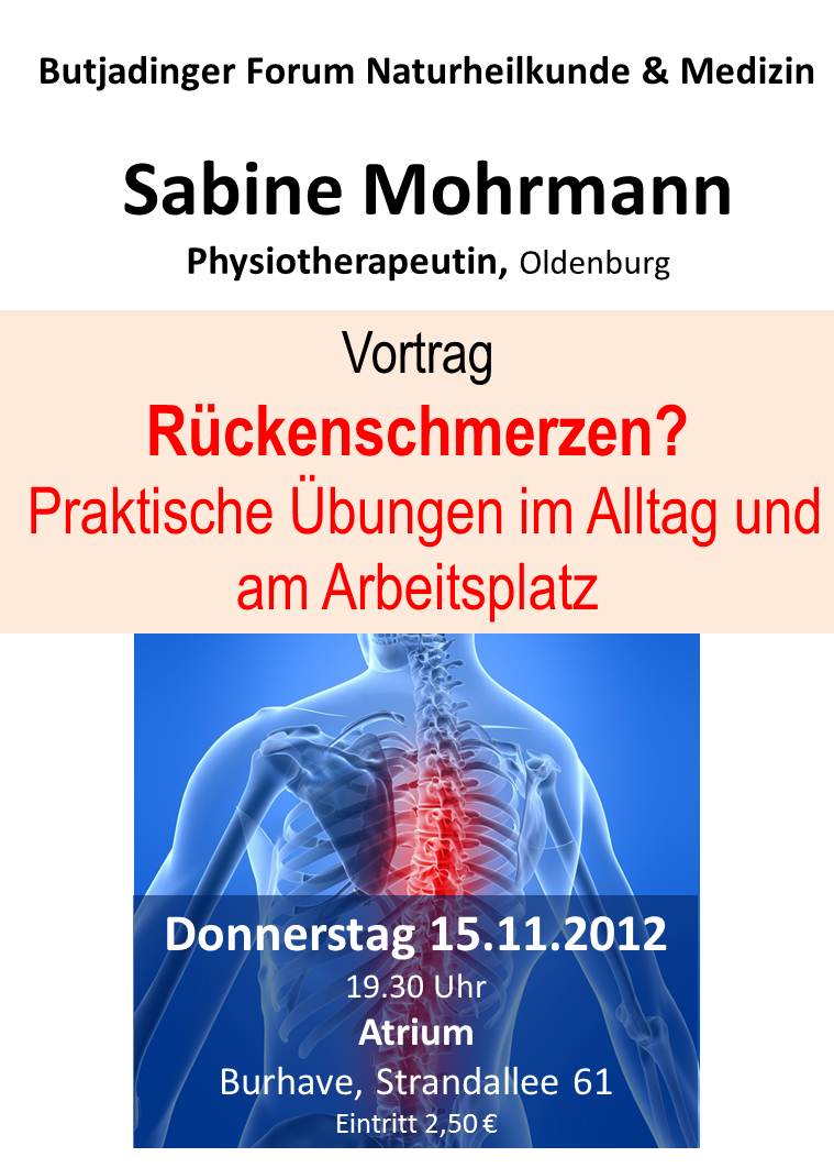 Rückenschmerzen - Praktische Übungen im Alltag und am Arbeitsplatz (2012)